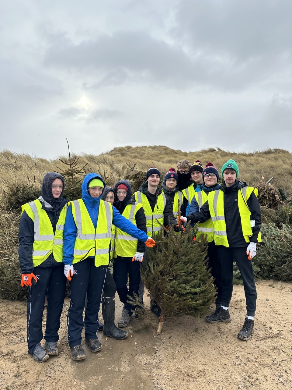 Year 12 students volunteer on a day of service and environmentalism