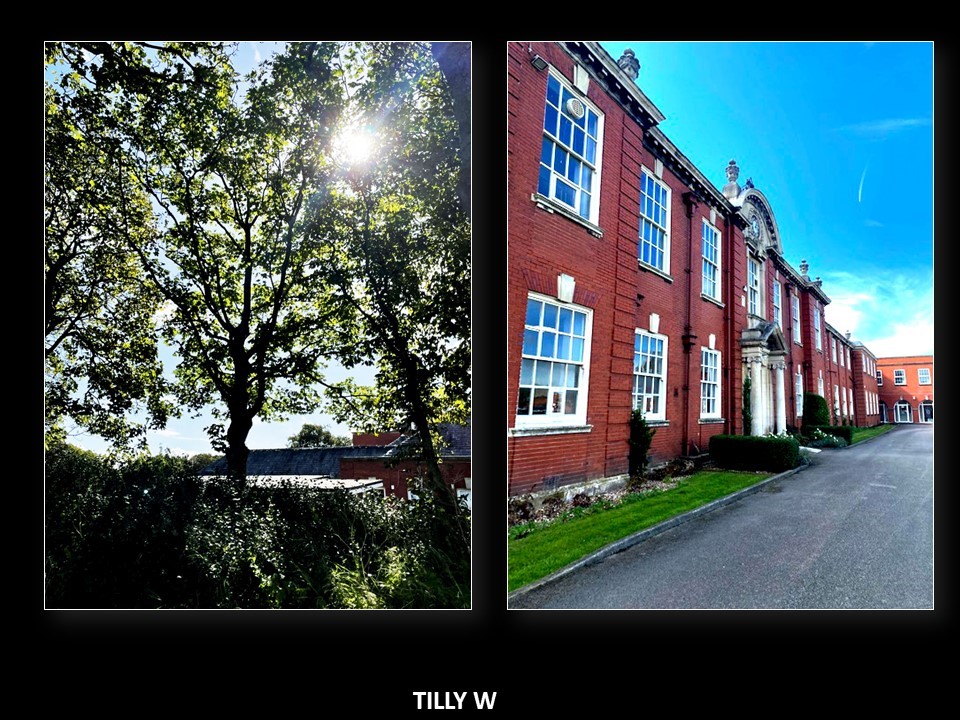 Awesome work from Year 7 Photography Club!