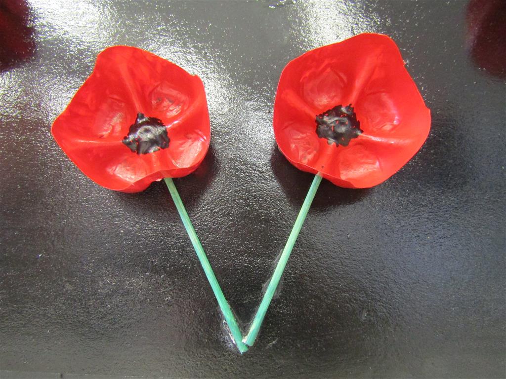 Charlotte's Remembrance Poppies for Y8 Design & Technology challenge