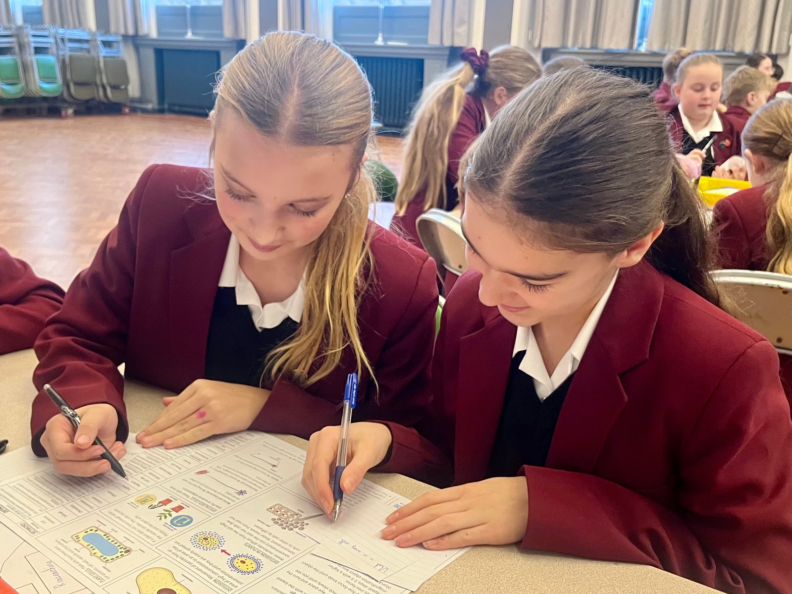 Year 7 Launch Study Skills Programme