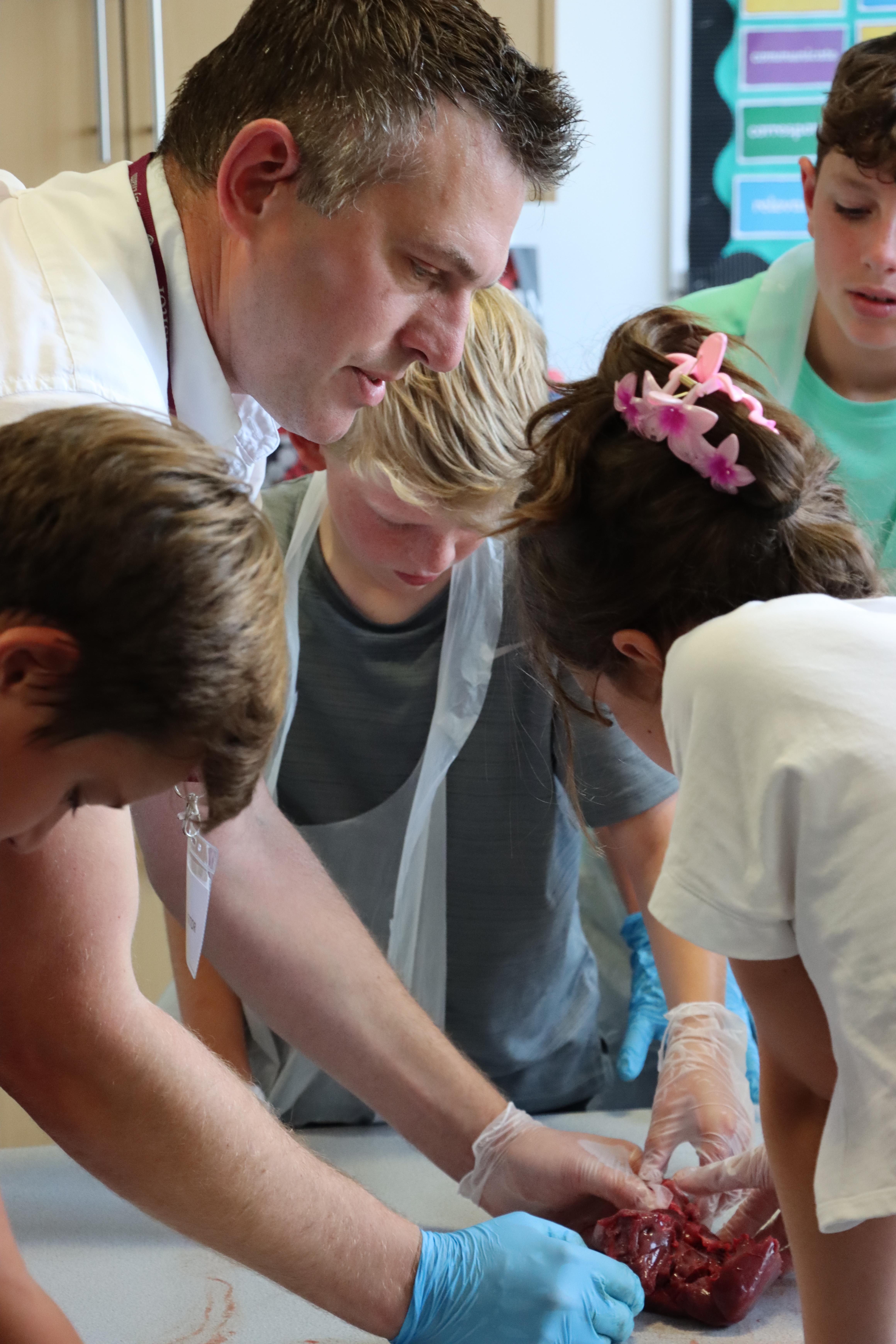 Heart Dissection with Dr Carey: A Highlight of the Science Calendar